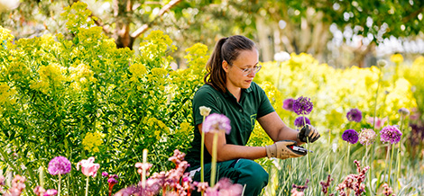 landschaftsgaertnerin-arbeitet-im-garten.jpg