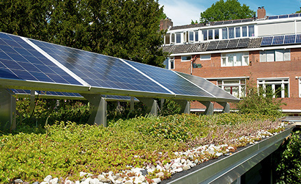 Ein Solargründach auf einem Mehrfamilienhaus