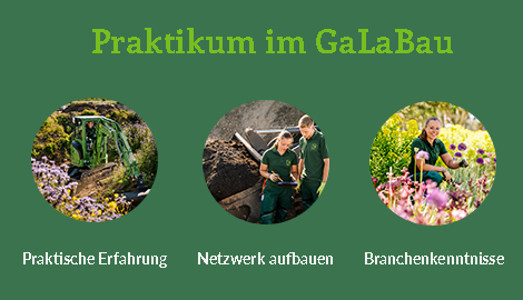 Schaubild: Praktikum im GaLaBau