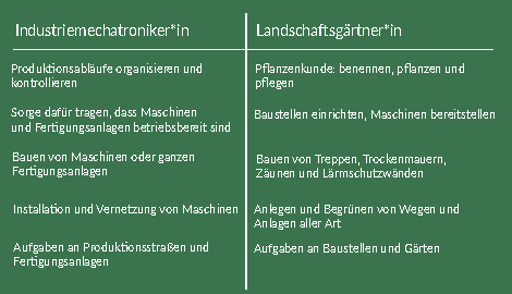 Unterschiede im Beruf: Industrie- mechatroniker*in vs. Landschaftsgärtner*in