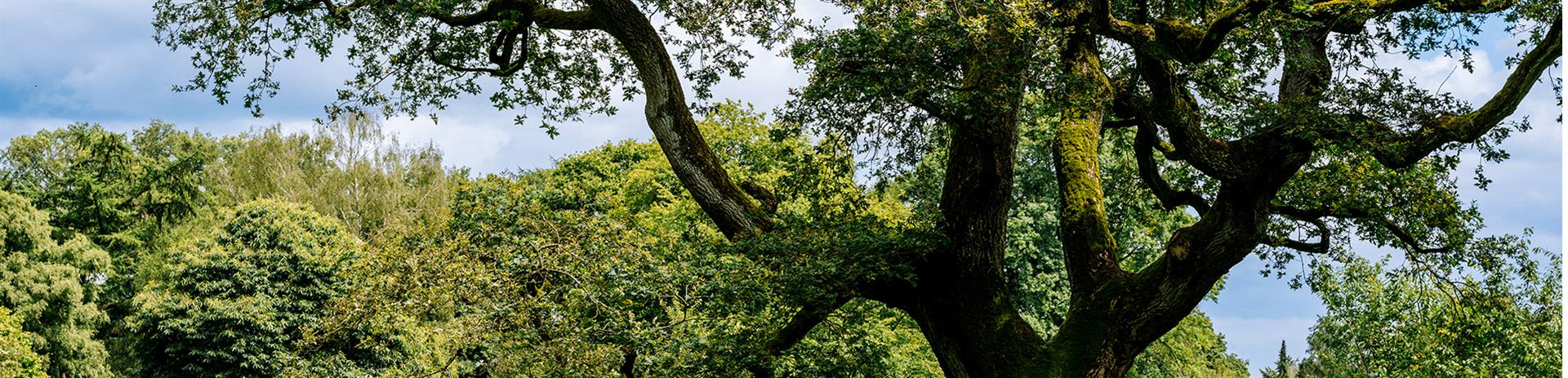Vom grauen Studium in die Natur